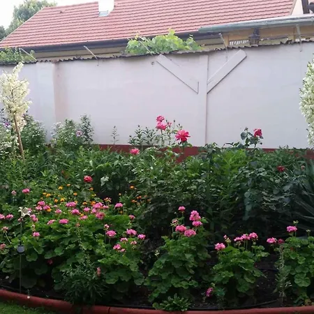 아파트 Siofok, Balaton 6 시오포크
