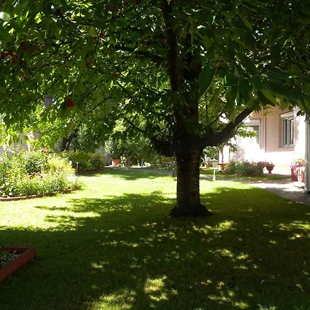 Siofok, Balaton 6 Siofok