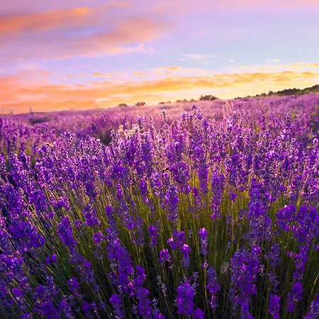 Siofok, Balaton 6 Σίοφοκ