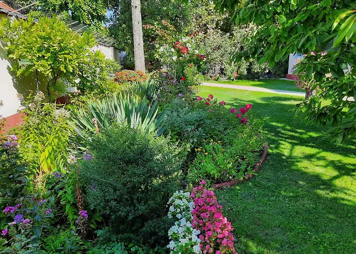 Siofok, Balaton 6 שיופוק