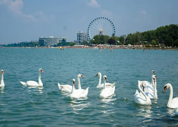 Siofok, Balaton 6 דירה